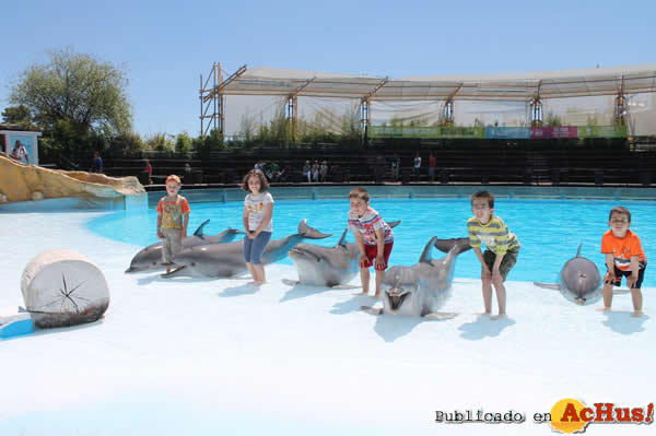 /public/fotos2/Campamento-Verano-Selwo-Marina-Delfinarium-2-2014.jpg
