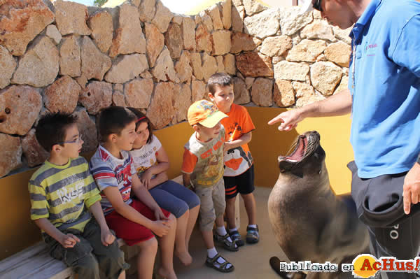 /public/fotos2/Campamento-Verano-Selwo-Marina-Delfinarium-2014.jpg