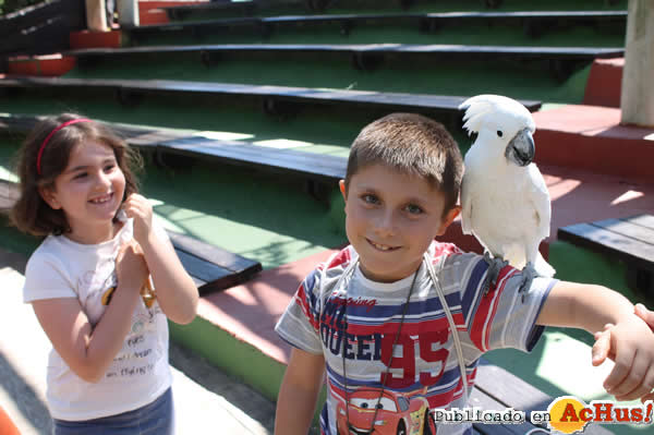 /public/fotos2/Campamento-Verano-Selwo-Marina-Delfinarium-3-2014.jpg