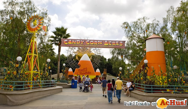 /public/fotos2/Candy-Corn-Acres-06102008.jpg