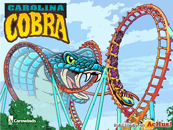 /public/fotos2/Carolina-Cobra-02-24112008.jpg
