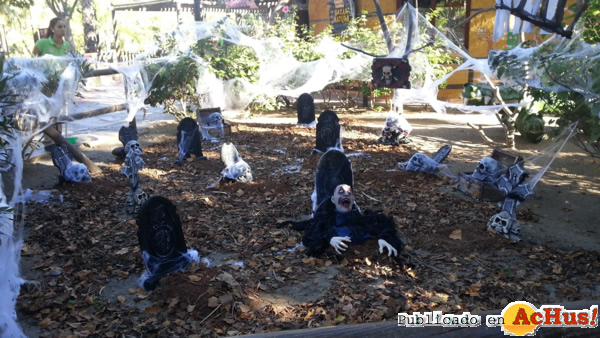 /public/fotos2/Cementerio-Selwo-Aventura-25102013.jpg