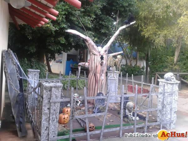 /public/fotos2/Cementerio-Selwo-Marina-25102013.jpg