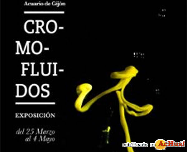 /public/fotos2/Cromofluidos-29032010.jpg