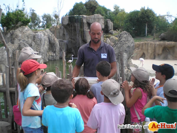 /public/fotos2/Cuidador-animales-exploradores-18062010.jpg