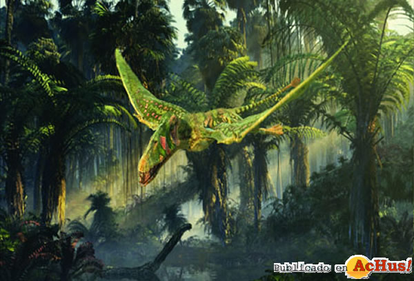 /public/fotos2/DIMORPHODON-09062011.jpg