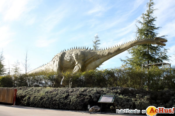 /public/fotos2/DIPLODOCUS-14032013.jpg