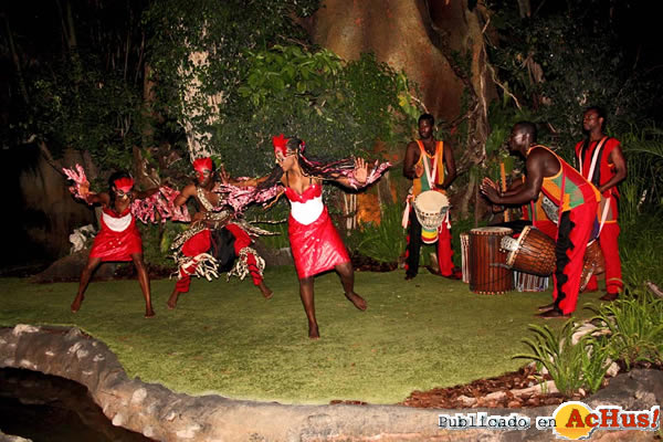 /public/fotos2/Danzas-africanas-Bioparc2-25072013.jpg