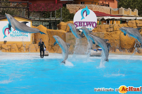 /public/fotos2/Delfinario-SWM-16022015.jpg
