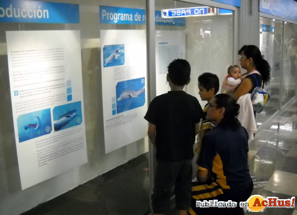 /public/fotos2/Delfines-01-17102009.jpg