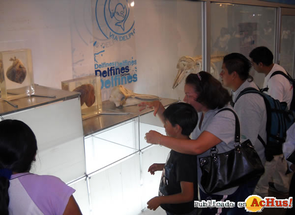 /public/fotos2/Delfines-05-17102009.jpg