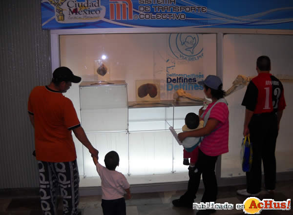/public/fotos2/Delfines-07-17102009.jpg