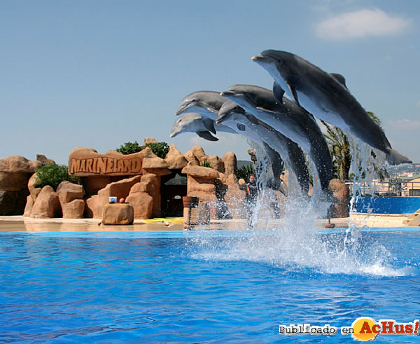 /public/fotos2/Delfines-09052012.jpg