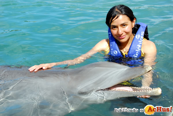/public/fotos2/Delfines-12-17102009.jpg