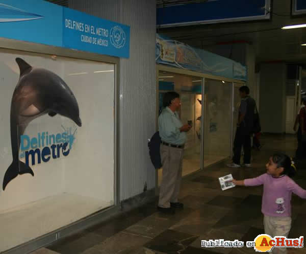 /public/fotos2/Delfines-en-el-Metro-012009.jpg