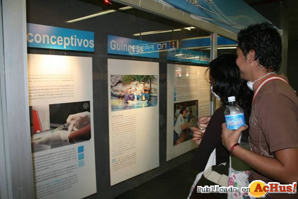 /public/fotos2/Delfines-en-el-Metro-03-21052009.jpg