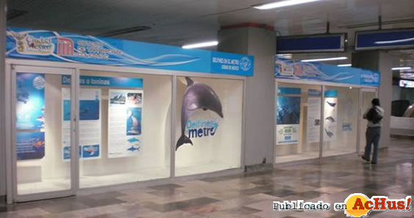 /public/fotos2/Delfines-en-el-Metro-07-21052009.jpg
