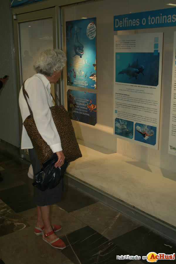 /public/fotos2/Delfines-en-el-Metro-08-21052009.jpg
