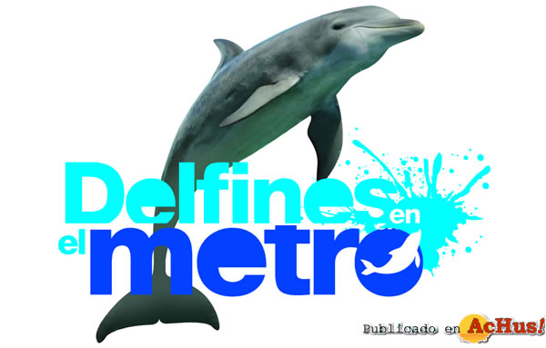 /public/fotos2/Delfines-en-el-Metro-2-2009.jpg
