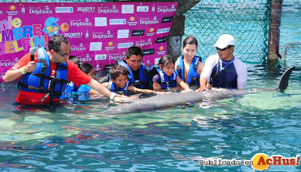 /public/fotos2/Delphinus-01-12052011.jpg