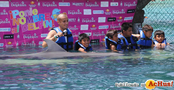 /public/fotos2/Delphinus-02-12052011.jpg