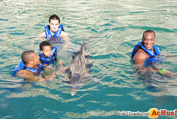 /public/fotos2/Delphinus-02-18022011.jpg