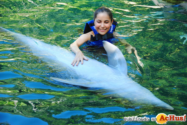 /public/fotos2/Delphinus-2-11022014.jpg