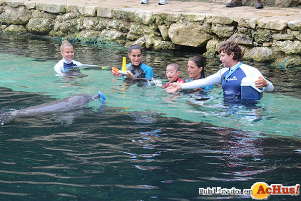 /public/fotos2/Delphinus-24092013.jpg