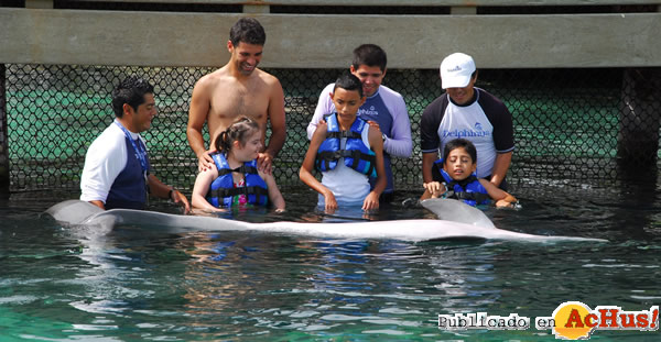 /public/fotos2/Delphinus-Riviera-Maya-01-15022011.jpg