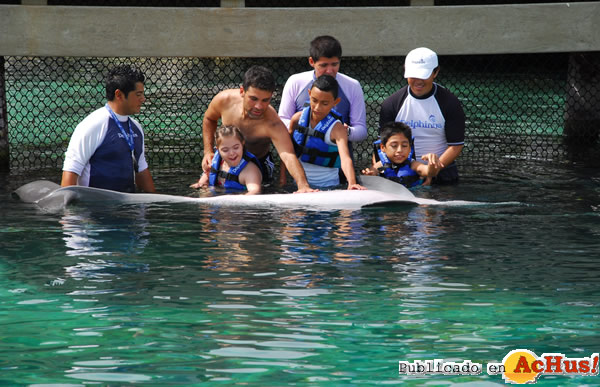 /public/fotos2/Delphinus-Riviera-Maya-02-15022011.jpg