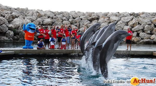 /public/fotos2/Delphinus-Riviera-Maya-03-15022011.jpg