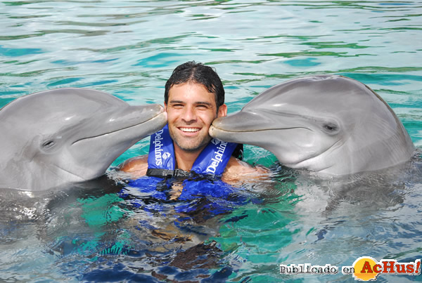 /public/fotos2/Delphinus-Riviera-Maya-05-15022011.jpg