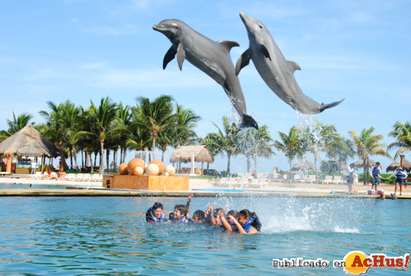 /public/fotos2/Delphinus-premia-ninos-diputados-29062012.jpg