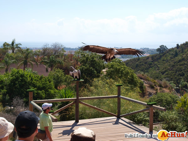 /public/fotos2/Dia-Mundial-Aves1-09102014.jpg