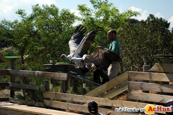 /public/fotos2/Dia-Mundial-Aves2-02102014.jpg