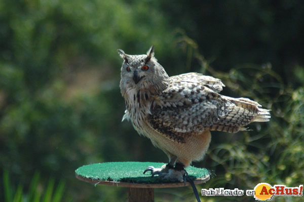 /public/fotos2/Dia-Mundial-Aves3-09102014.jpg