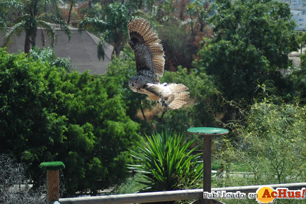 /public/fotos2/Dia-Mundial-Aves4-09102014.jpg