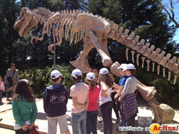 /public/fotos2/Dinosaurios-Faunia-30092014.jpg
