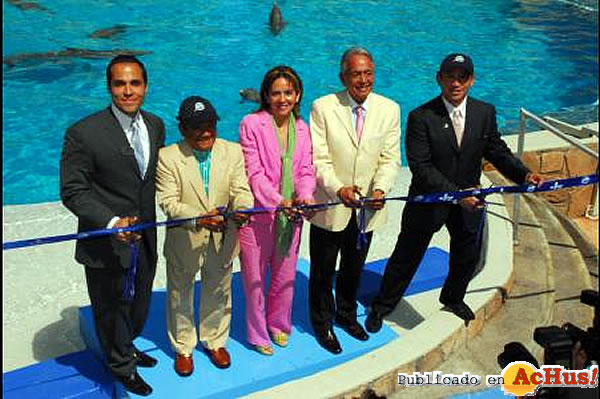 /public/fotos2/Dolphin-Discovery-Six-Flags-Mexico-2009.jpg
