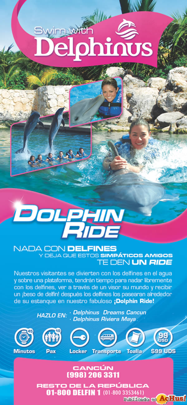 /public/fotos2/Dolphin-Ride-2.jpg