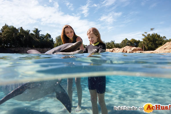 /public/fotos2/DolphinInteraction-04052010.jpg