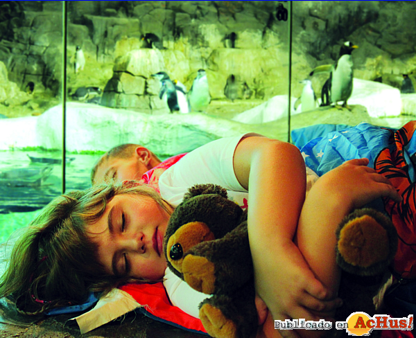 /public/fotos2/Dormir-con-13092012.jpg
