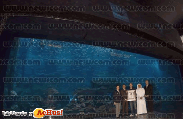 /public/fotos2/Dubai-Aquarium-01112008.gif