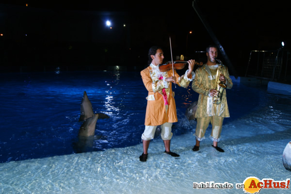 /public/fotos2/El-Sueno-de-una-Noche-de-Verano-18072012.jpg