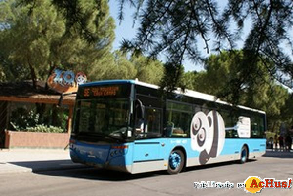 /public/fotos2/El-bus-del-Zoo-08082010.jpg