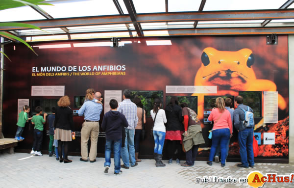 /public/fotos2/El-mundo-de-los-Anfibios-19042013.jpg