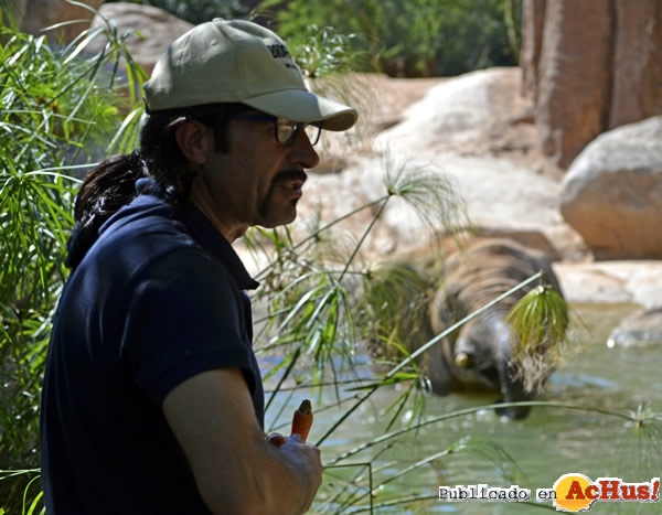 /public/fotos2/ElJefeBioparc-14012015.jpg