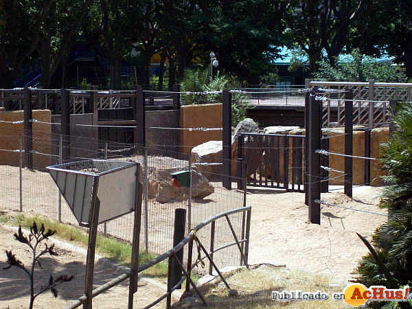 /public/fotos2/Elefantes-Zoo-Barcelona-01-22062009.jpg