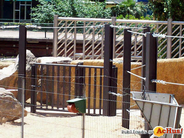 /public/fotos2/Elefantes-Zoo-Barcelona-03-22062009.jpg