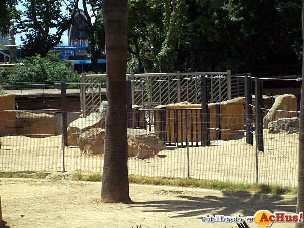 /public/fotos2/Elefantes-Zoo-Barcelona-04-22062009.jpg